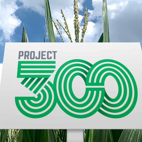 Project 300
