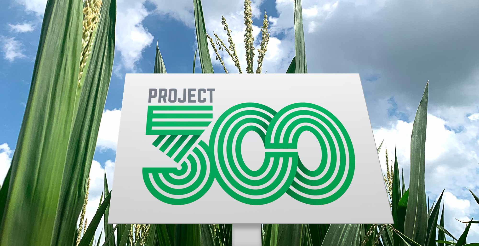 Project 300